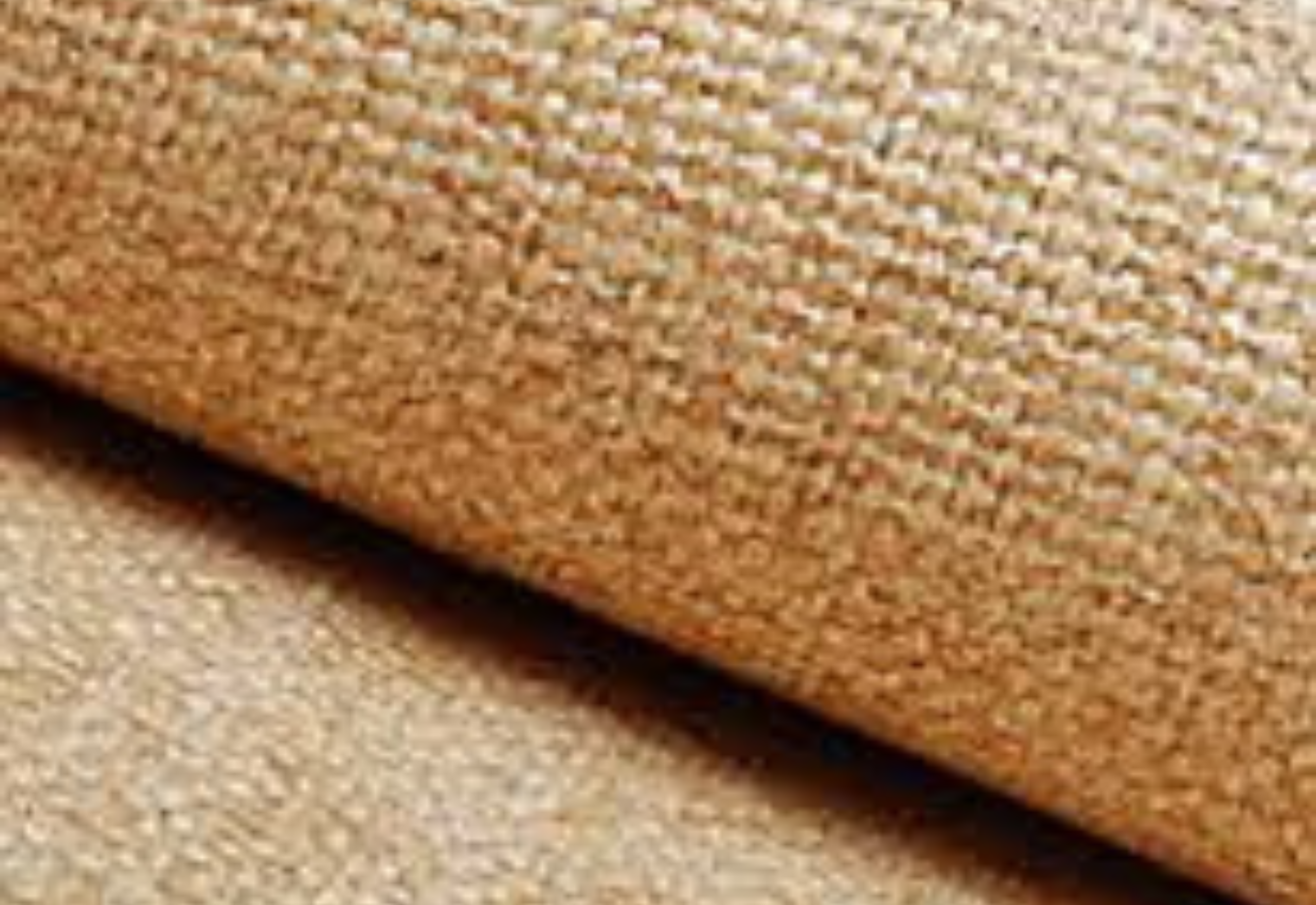 Untitled design (54)